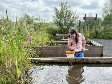 A girl pond dipping at Brockholes 