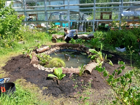 Wildlife Pond at The Greenhouse Project