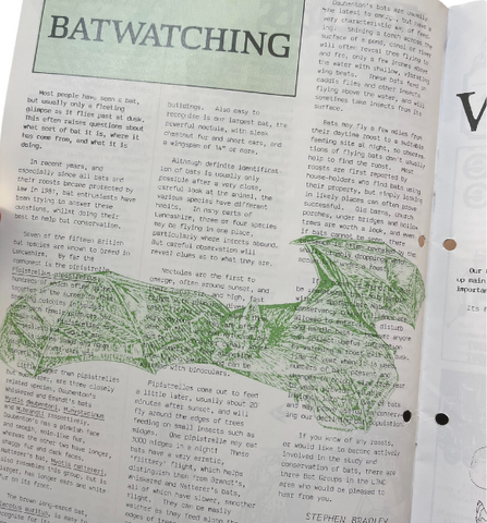 Old bat article from Lapwing 