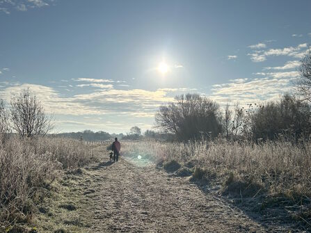 A person walks a dog along a frosty path in winter with a sunny clear blue sky
