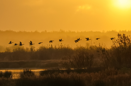 Misty Sunrise at Lunt Meadows entered into the photography competition 2025