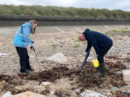 Shark egg collecting at Rossall Point by Mike McDonnell