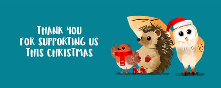 An illustration of a robin, hedgehog and barn owl with the title 'Thank you for supporting us this Christmas'