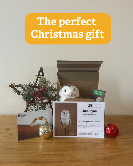 Barn owl adoption pack, with Christmas decorations and text overlay - the perfect Christmas gift
