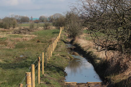 Cutacre nature reserve
