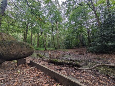 A dried up pond in Wythenshawe Park