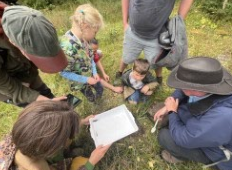 Smooth newt found at Darcy Lever Gravel Pits Credit Jessica Fung