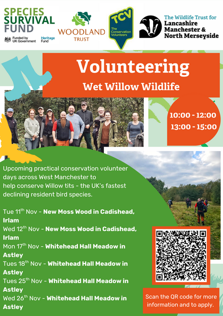 Volunteering Days with Wet Willow Wildlife