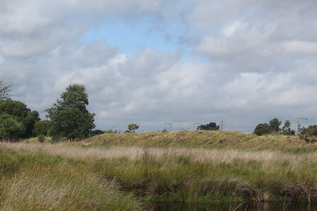 Highfield Moss by Alan Wright