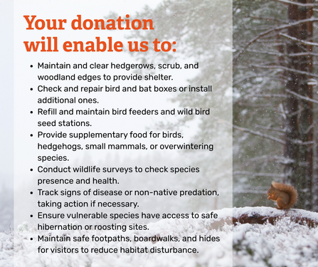 Your donation will enable us to: Maintain hedgerows to provide shelter; check and repair bird and bat boxes; refill and maintain bird feeders; provide supplementary food for birds and small mammals; conduct wildlife surveys; track signs of disease; provide safe spots for hibernation and roosting; and maintain safe footpaths, boardwalks and hides to avoid habitat disturbance.