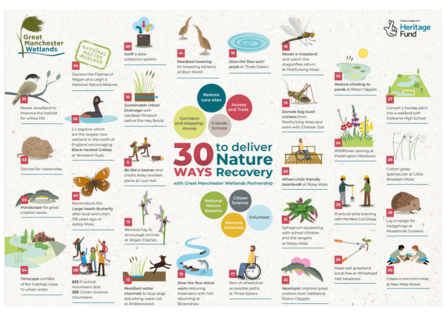 An infographic detailing 30 ways in which the GM Wetlands is working to deliver nature recovery