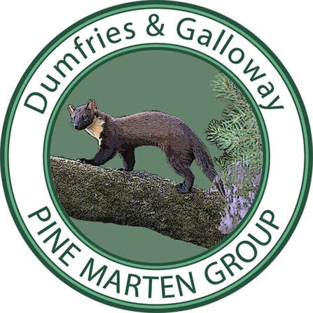 Dumfries & Galloway Pine Marten logo