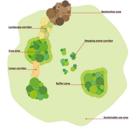 Diagram showing an ideal ecological network