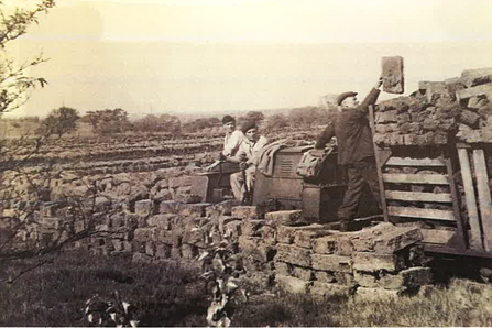 A black and white photo of men digging up block of peat