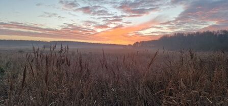 Sunrise over Lunt meadows Credit Dave Melia Nature Photography