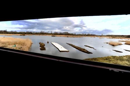 View of lake from inside a hide