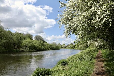View along a canal bank