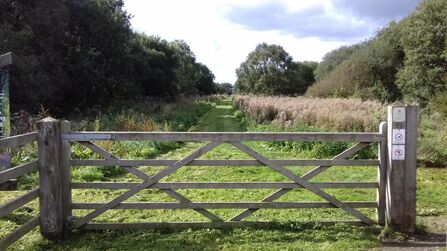 Gate in front of woodland