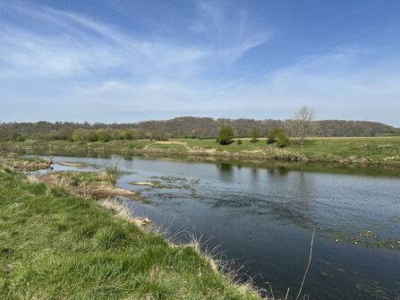 River Ribble at Brockholes