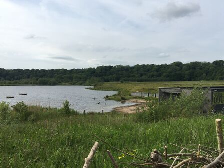 Meadow Lake at Brockholes 