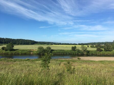 Orienteering workshop