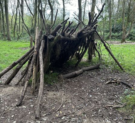Shelter building