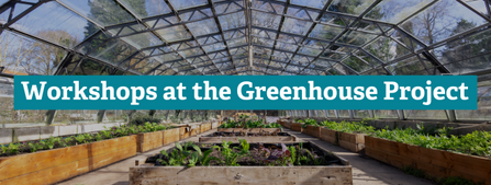 An internal view of the greenhouses at Witton Park with the caption 'Workshops at the Greenhouse Projec't