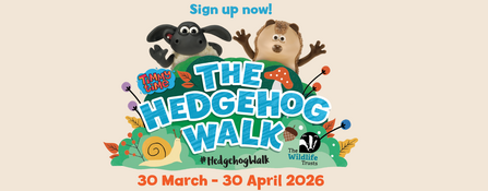 The Hedgehog Walk