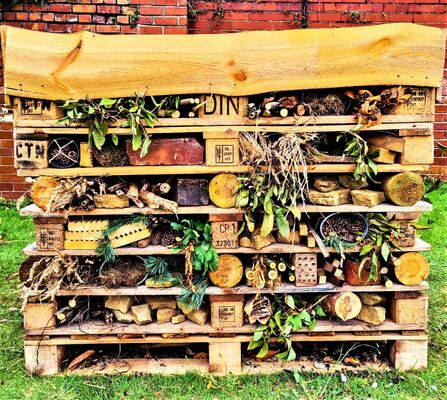 Bug hotel 