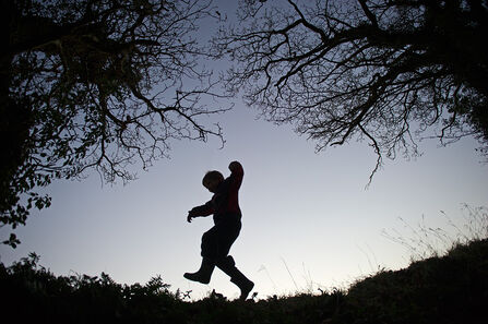 Young boy silhouetted at dusk playing on edge of woodland