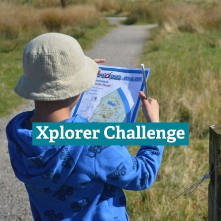 Child looking at Xplorer Challenge Map
