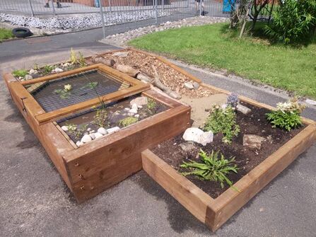 Raised pond