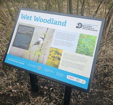 A sign in a woodland explaining about wet woodland wildlife