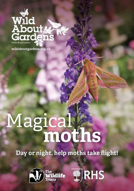 Wild About Gardens 2026 booklet cover - magical moths