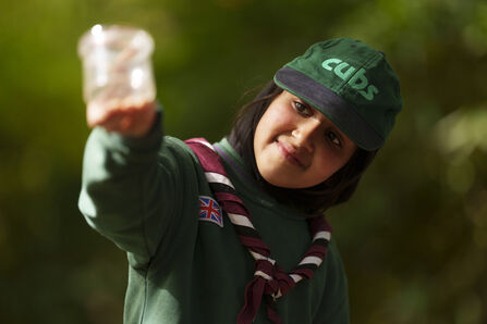 BMHC Scout looking at bug