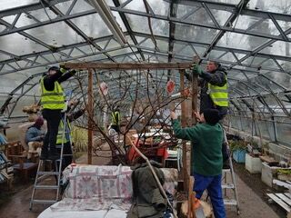 Volunteers at the Greenhouse