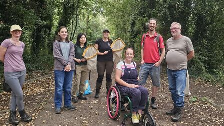 A group of volunteers, including a wheelchair user, some with butterfly nets