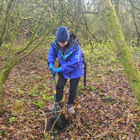 A woman in a blue coat digging with a green spade