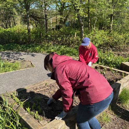 Two people taking part in a gardening activity