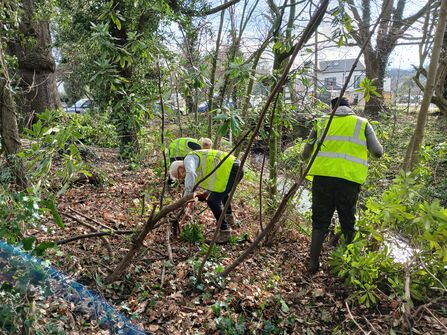 Wythenshawe Park Corporate Conservation Day 