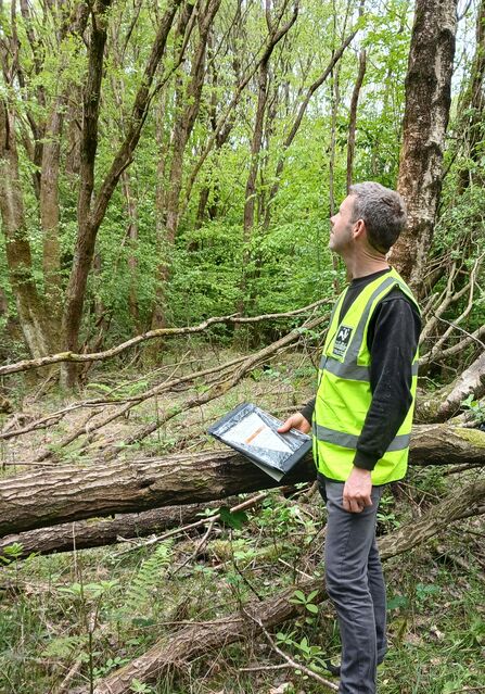 James Hall - Head of Ecological Enterprise - standing in a woodland and wearing a hi-vis jacket.