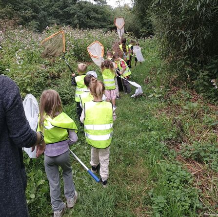 A group of children on a bug hunt