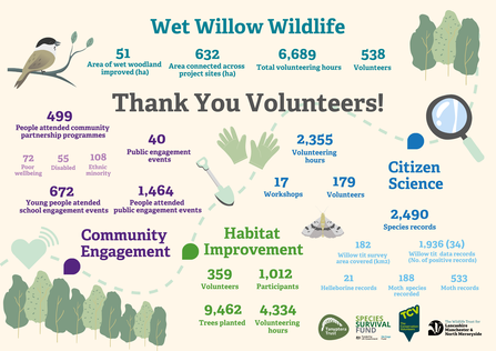 Infographic showing the achievements of the Wet Willow Wildlife project