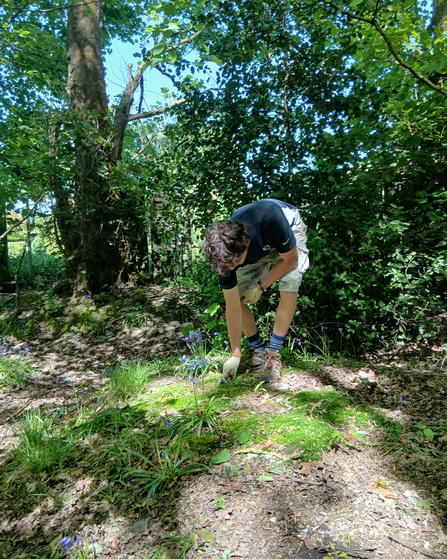 James Kennedy planting ancient woodland species