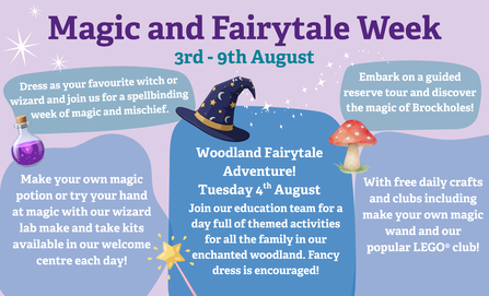 Magic and Fairytale Week