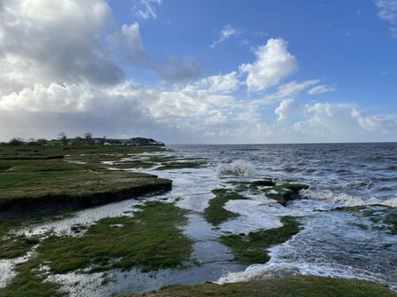 Saltmarsh vegetation absorbs wave energy at Bolton-le-Sands, Lancashire Credit Our Future Coast