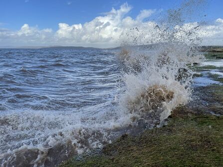 Sea and saltmarsh Credit Our Future Coast