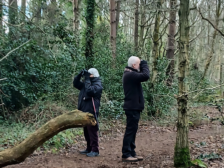 Two volunteers looking for red squirrels through binoculars
