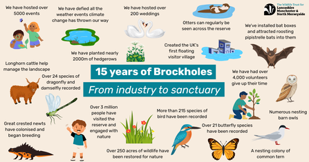 15 years of Brockholes infographic, From industry to sanctuary with numerous facts of Brockholes