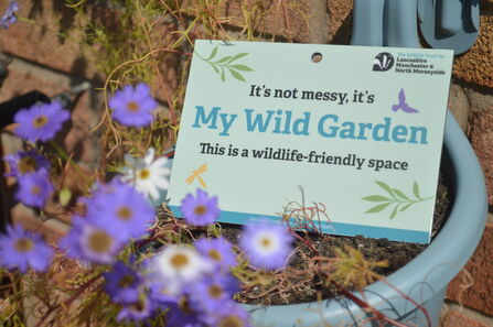 LWT's My Wild Garden plaque resting in a blue plant pot surrounded by purple flowers